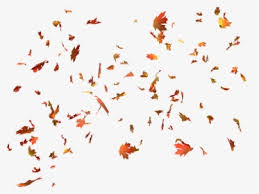 For rationale, please read policy/objects before editing this page. Falling Leaves Gif Transparent Hd Png Download Transparent Png Image Pngitem