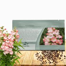 Image result for Penstemon hartwegii