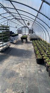 569 likes · 71 were here. Cold Mountain Nursery Home Facebook