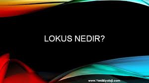 Lokus Nedir Davranis Dokular Iliskiler