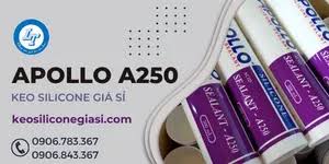 Báo giá sỉ keo silicone Apollo A250