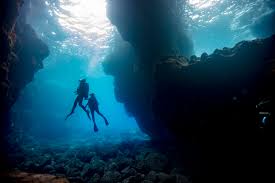 The diving in hawaii is nowhere near as good as many other places in the world, but as new divers, you shouldn't be disappointed, and there are lots of other attractive things about hawaii that make it a. Apply For 2019 Padi Women S Scholarships
