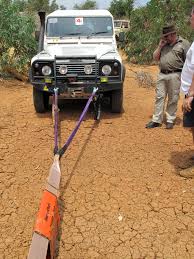 Image result for bridle snatch strap