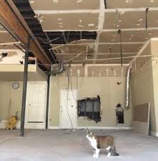 Find downtown atlanta restaurants in the atlanta area and other. Happy Tabby Cat Cafe