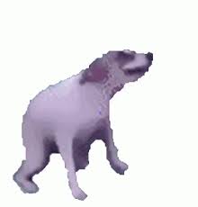Create a meme from jpg, gif or png images. Perro Brazil Gif Perro Brazil Bailando Discover Share Gifs Dancing Dog Gif Funny Instagram Memes Dancing Gif