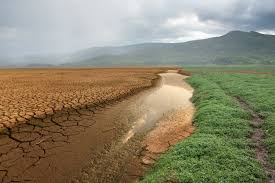 Cambio climático