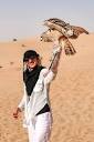 Flying desert eagle owl at the Dubai Desert Conservation Reserve ...