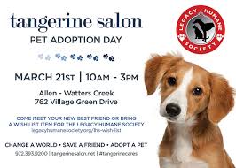Allen Pet Adoption Flyer Legacy Humane Society