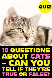 You can use this swimming information to make your own swimming trivia questions. Quiz About Cats 10 Questions True Or False Cats Cat Facts Cat Questions