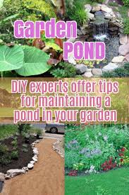 The Basics Of How To Grow An Organic Garden Useful Gardening Tips Organic Gardening Tips Beautiful Gardens Garden Diy On A Budget