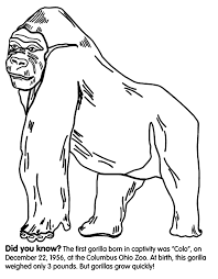 Some of the coloring pages are supplyme online teacher supply store click on the coloring page to open in a new window and print. Gorilla Coloring Page Coloring Home