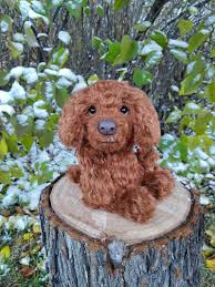 We did not find results for: 20 Teddy Bear Poodles On Tedsby