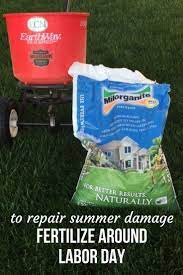 For A Thick Healthy Green Lawn Fertilize Around Labor Day Fall Lawn Care Lawn Care Fall Lawn