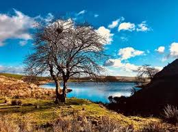 Water worker makes splash with these incredible images of dams across the  UK