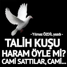 Sozcu Gazetesozcu Twitter Release Dove Animals