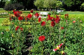Schneller In Den Britzer Garten Neue Scanner Und Kartenautomaten An Den Eingangen Britz