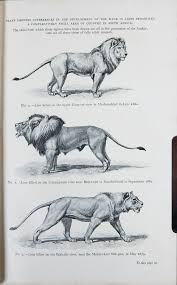 There are also mammals with fins instead of feet, such as whales and dolphins. Armchair Safari African Nature Notes And Reminiscences By F C Selous Safari Club