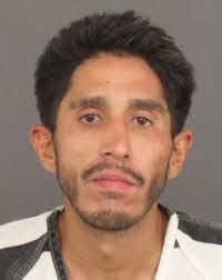 Adams County DA apologizes to victim after one-year plea deal exposed