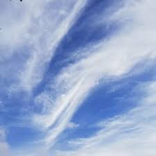 龍雲 メッセージ