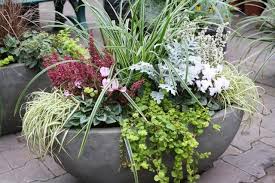 Geschmackvolle Bepflanzung Fur Balkon Und Terrasse Geschmackvolle Bepflanzung Fur Balkon Und Terrasse The Post G Bepflanzung Blumenkasten Bepflanzen Pflanzen