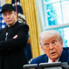 Google Search Interest in Musk Surpasses Trump