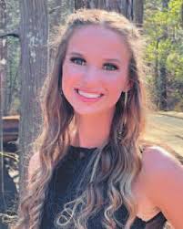 Ivanhoe council discusses projects