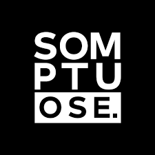 Salon Somptuose St Priest