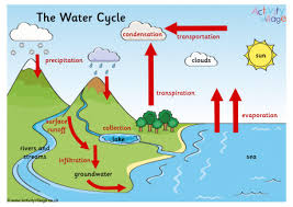 The Water Cycle In 2020 Water Cycle Water Cycle Poster Water Cycle Project