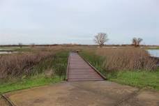 Celebrate National Trails Day with Boardwalk Trail Restoration