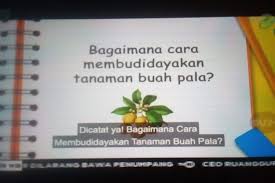 Kunci jawaban mustika sari kelas 5. Soal Dan Jawaban Belajar Dari Rumah Tvri 22 April 2020 Kelas 4 6 Sd Halaman All Kompas Com