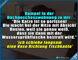 Von Katzen Kann Man Was Lernen Hitzewelle Hitze Wetter Dachgeschosswohnung Katze Lustige Spruche Witzige Spruche Lustige Gags