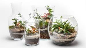 Terrarium Soil Layers And Their Functions With Pictures Smart Garden Guide In 2020 Terrarium Open Terrariums Unique Terrarium