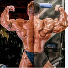 Roelly Winklaar And James Flex Lewis Back Bodybuilding Fitness Olympia Fitness Bodybuilding Mr Olympia Ifbb professional bodybuilder, pro tan athlete, nebbia clothing, bpi sport nutrition athlete, ryderwear. roelly winklaar and james flex lewis