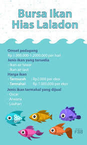 Ada beberapa jenis ikan oscar ? Dulu Sepi Kini Bursa Ikan Hias Laladon Diserbu Pembeli Radar Bogor Berita Bogor Terpercaya