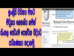 The general condition of body and mind; Website Sinhala Meaning Youtube