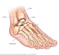4.5 out of 5 stars. Broken Foot Symptoms And Causes Mayo Clinic
