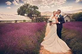 Reno Tahoe Destination Wedding Hair And Makeup By Published Artist Rebecca Schembri Breeze Salon Destination Wedding Hair Wedding Hairstyles Hair Makeup