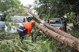 Grosse grêle, vents destructeurs ou pluies. Que Faire En Cas D Orage Ou De Vents Violents Sdis77