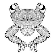 dirigez la grenouille de zentangle pour l anti page adulte coloration d effort main illustration vecteur du attraction africain 70141130 coloriage voiture