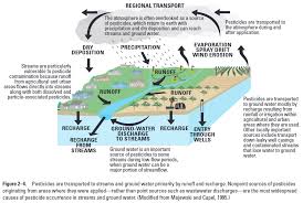 Pesticides In Groundwater