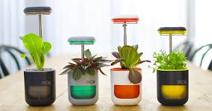 Pico, the creator economy monetization software company, launches 2.0 with fresh round of funding. Pico A Garden In Your Palm Growing Is Fun Again Indiegogo