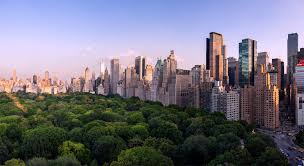 Profile for New York Rooftop Gardens