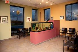 At pet express animal hospital, love is the starting point that fuels the passion of the quality care, for those who love us the most. Veterinary Care Veterinarian Crete Il Animal Wellness Center Of Monee