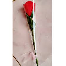 Diameter dari bunga seroja dapat mencapai 20 cm. 11 Harga Bunga Mawar Plastik Satu Tangkai Terpopuler Lingkar Png