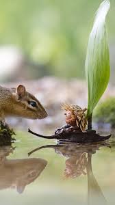 DeeAnn Hansen (anndee22)