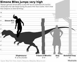 During the 2021 tokyo olympic games — simone biles, sunisa lee, jordan chiles, grace mccallum, mykayla skinner and jade carey.the structure. This Chart Shows Just How High Simone Biles Can Jump