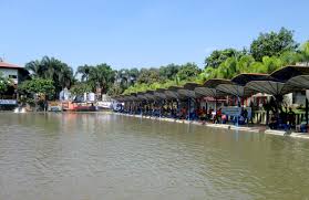 Lgk Hadirkan Kolam Monster Ada Arapaima 80 Kg 18 Jenis Ikan Predator Kabar Mancing