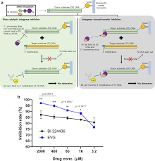 Image result for Integrase Strand Transfer Inhibitor