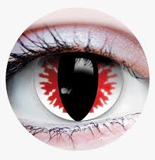 Zombie halloween 1 day coloured contact lenses (white) £5.95. Devil Eyes Primal Contact Lenses Png Download White Werewolf Contact Lenses Transparent Png Kindpng