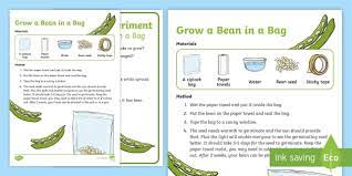 In that same vein, if a bag of cannabis contains seeds, it could be due to stress of the mother plant. Grow A Bean In A Bag Eyfs Science Experiment
